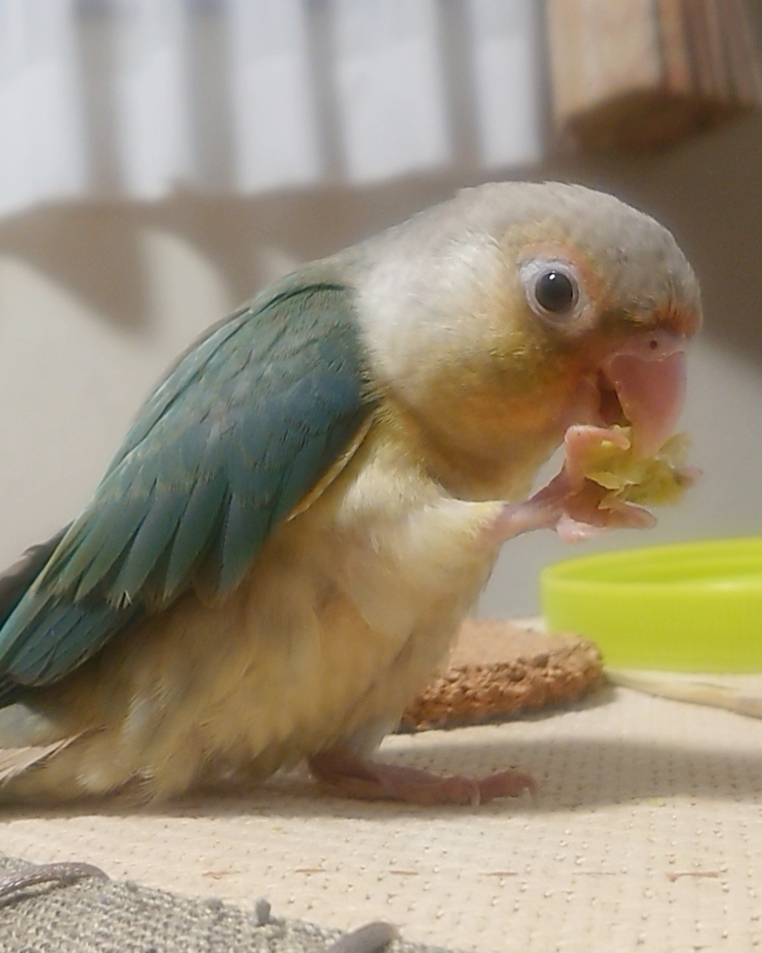 初心者10のポイントのカテゴリー