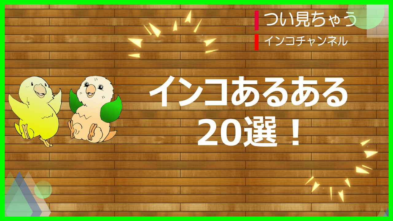 厳選 インコあるある選 インコともだち
