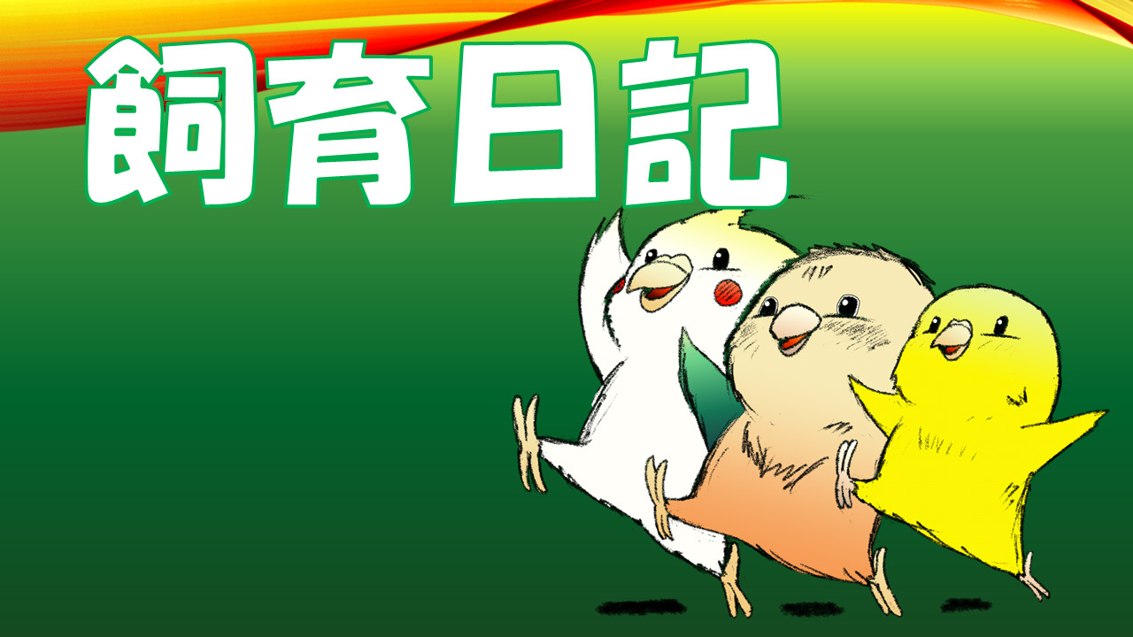 飼育日記のカテゴリー