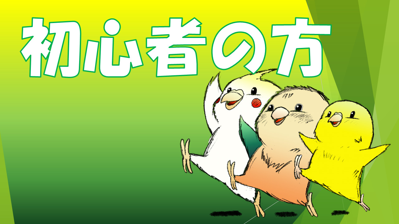 初心者に関する記事のコーナー